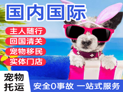 呼伦贝尔航空物流国际宠物托运 【国
